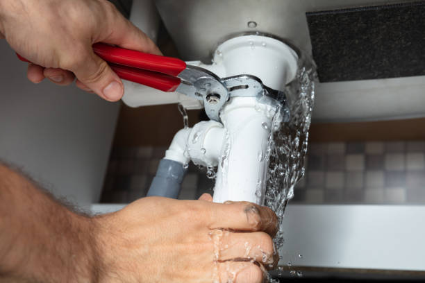 Best Flood restoration services  in Oglethorpe, GA