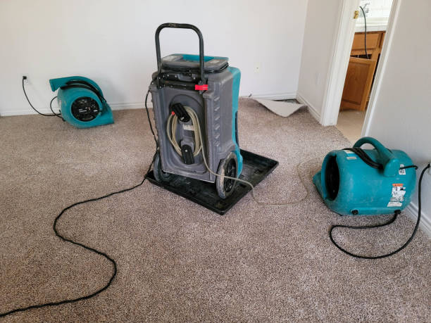 Water damage restoration experts in Oglethorpe, GA