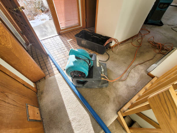 Best Residential water damage restoration  in Oglethorpe, GA