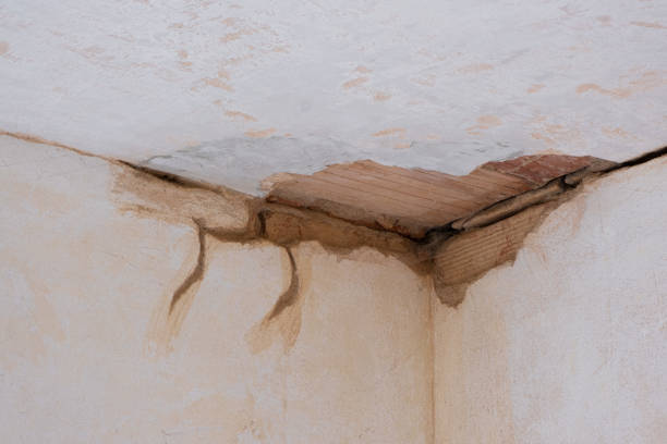 Best Fire Damage Restoration  in Oglethorpe, GA