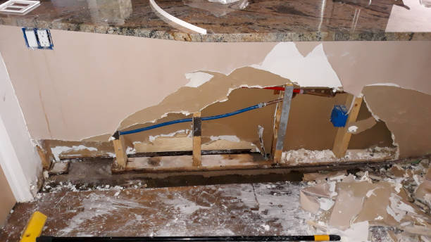 Best Mold removal after water damage  in Oglethorpe, GA