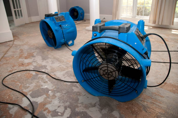 Best Water damage restoration near me  in Oglethorpe, GA