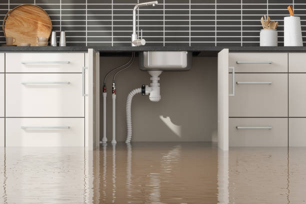 Best Sewage cleanup and water damage restoration  in Oglethorpe, GA