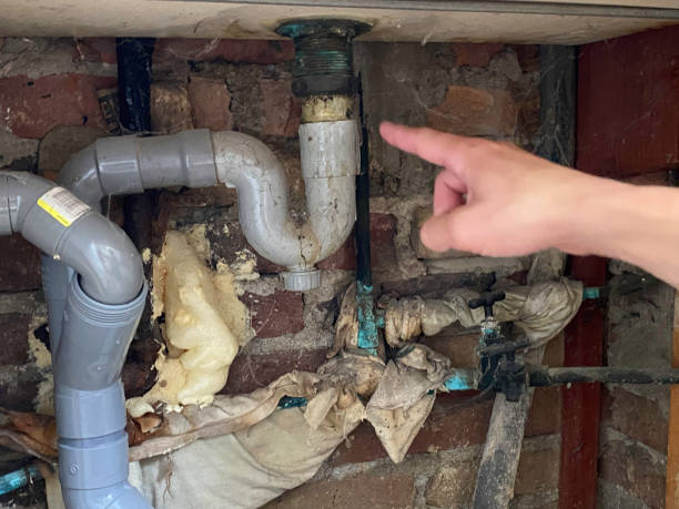 Best Basement water damage restoration  in Oglethorpe, GA