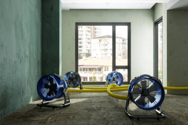 Professional Water damage restoration in Oglethorpe, GA