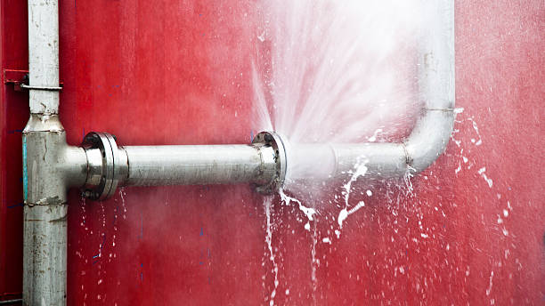  Oglethorpe, GA Water damage restoration Pros