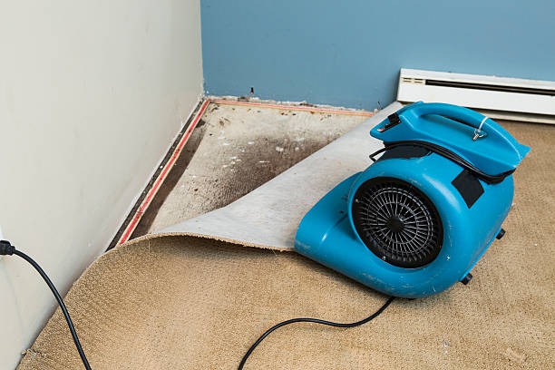 Best Carpet water damage restoration  in Oglethorpe, GA